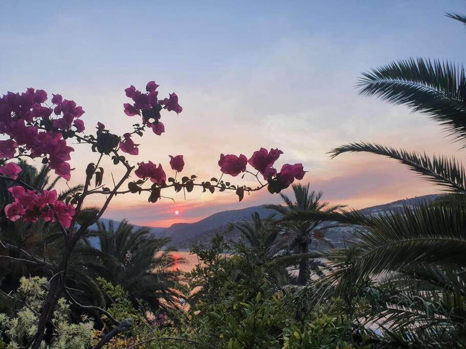 Cactus Garden Kalkan - Club Patara Villas Exterior foto